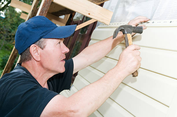Best Dumpster Rental Services  in Rio Grande City, TX