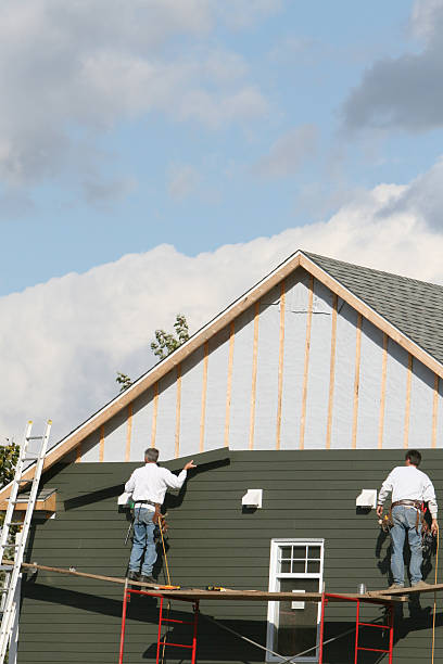 Shed Removal in Rio Grande City, TX